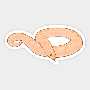 Albino Kenyan Sand Boa Sticker